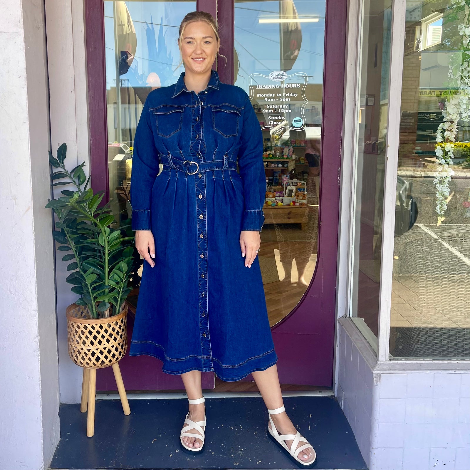 Lorraine Denim Dress