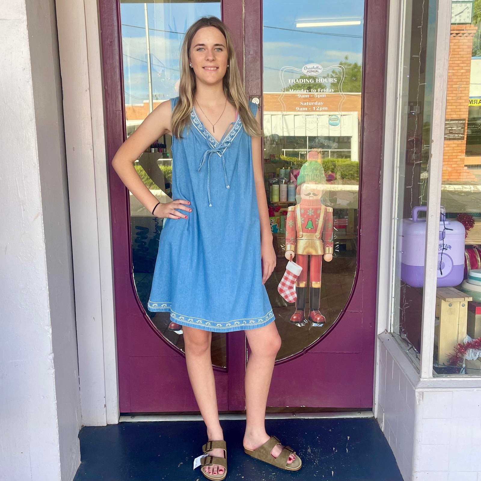 V Neck Embroidered Detail Mini Dress