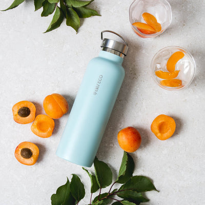Insulated Stainless Steel Drink Bottle