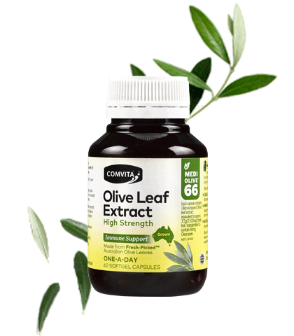 Olive Leaf Extract Capsules