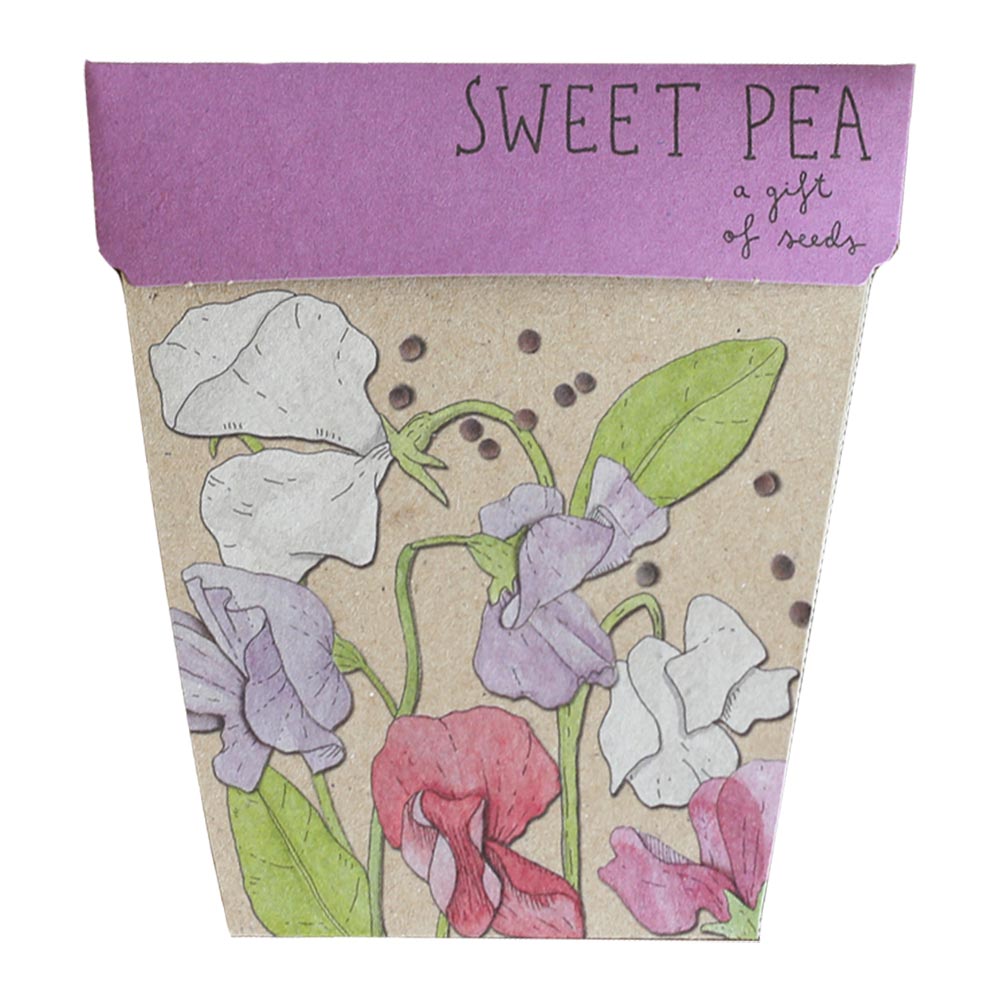 Sow N Sow Sweet Pea Seeds
